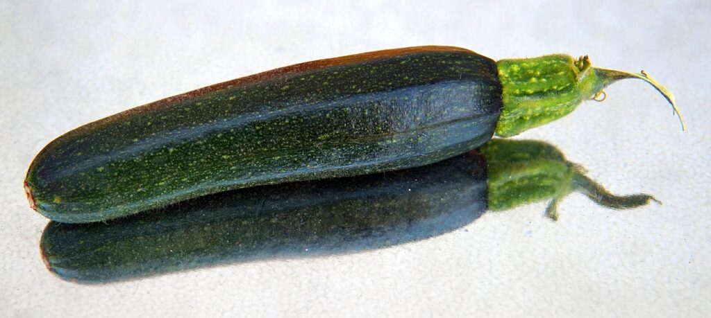 Zucchine fresche a luglio: il metodo del sottovuoto che ne prolunga la croccantezza di 10 giorni