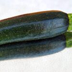 Zucchine fresche sottovuoto pronte per mantenere la croccantezza per 10 giorni.